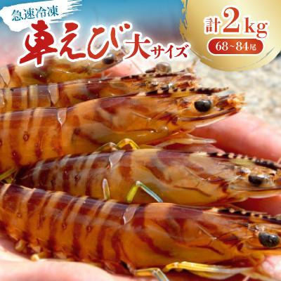 ふるさと納税 名護市 【養殖場から直送】急速冷凍車えび 大サイズ 2kg(68〜84尾/500g×4P)