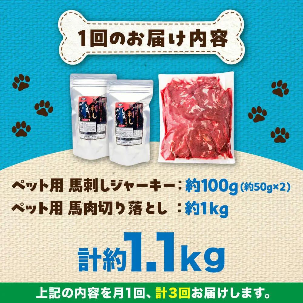 【全3回定期便】詰め合わせ 国内加工 ペット用 馬肉 切り落とし 約1kg ペット用 馬刺しジャーキー 約100g BHCY066