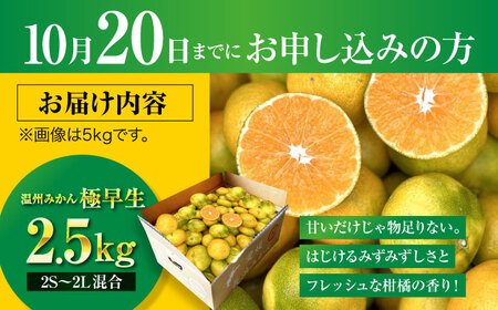 温州みかん 2.5kg 玉川農園[AGBC004] 温州みかん温州みかん温州みかん温州みかん温州みかん