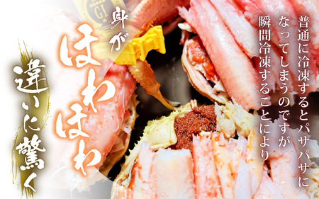【先行予約】せいこがに（越前がに） 甲羅盛り 大 約110g × 2杯【冷凍】【2026年11月下旬以降順次発送予定】せいこがに [m36-c002]