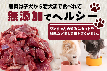 ワンちゃんのペットフード鹿肉小間切れ 2キロ（冷凍100g×20パック）【徳島 那賀 国産 徳島県産 ジビエ いぬ イヌ 犬 わんちゃん ワンちゃん ごはん えさ エサ 餌 高タンパク 低カロリー ド