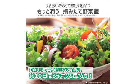 東芝 冷蔵庫【標準設置費込み】 508L 6ドア 両開き 冷凍冷蔵庫 GR-Y510FZ(UC)