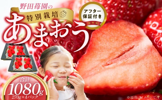 
                  【2027年2月から順次発送】苺（あまおう）270g×2パック×2箱 _ あまおう 270g 2パック 2箱 計 1080g 福岡県産 いちご ストロベリー 特別栽培 認証 アフター保証 安心 安全 艶 果物 果汁 フルーツ スイーツ デザート 冷蔵 福岡県 久留米市 お取り寄せ 送料無料 _Fi076
                
