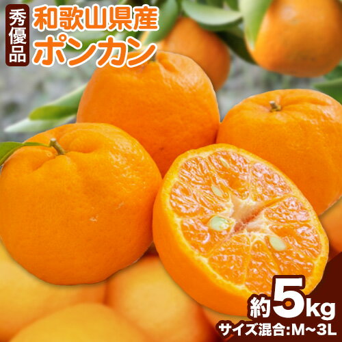 和歌山県産ポンカン 約 5kg 秀優品 (M～3Lサイズ混合) 厳選館 《2月上旬-3月下旬頃出荷》和歌山県 日高川町 柑橘 ポンカン ぽんかん フルーツ 秀品 優品