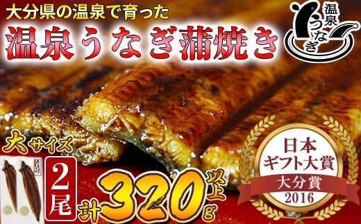 
温泉うなぎ蒲焼 2尾（160gサイズ） 国産うなぎ 人気 国産 蒲焼 蒲焼き かば焼き 鰻屋 個包装 冷凍 真空 ＜104-011_5＞
