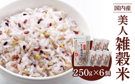 国内産 美人雑穀米 250g×6個 計1500g_雑穀米 国内産 250g × 6個 1回 美人雑穀米 雑穀 12種 ブレンド 混ぜて炊くだけ 冷めても美味しい 胚芽押麦 もち玄米 発芽 玄米 もち黒米 ハト麦 もち麦 もちきび 黒大豆 もちあわ 簡単 主食 おにぎり 弁当 ふっくら もちもち_Gr009
