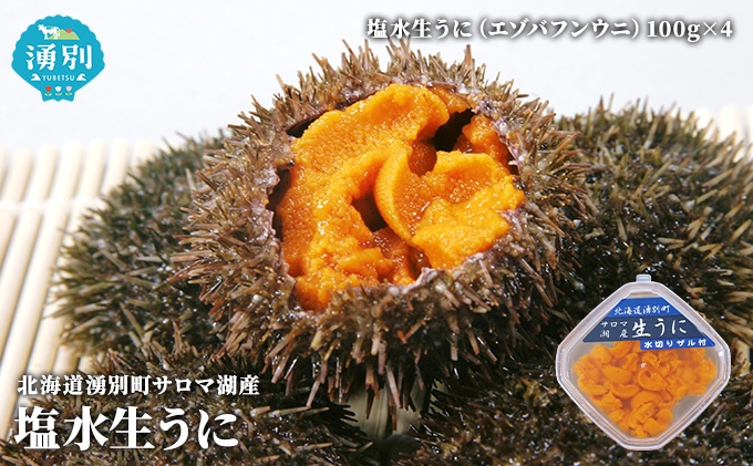 
                  [№5930-0345]先行予約 2024年4月から配送北海道 湧別町 塩水 生うに 100g×4 ウニ うに 雲丹 エゾバフンウニ 魚貝類 海鮮 海の幸 サロマ湖産 とろける口溶け 深い旨味 つまみ お酒のあて 
                