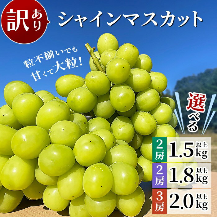 【ふるさと納税】訳あり 先行予約 種無し ぶどう 種なし 果物 フルーツ ブドウ 【訳あり】シャインマスカット 選べる 内容量【2025年10月中旬～11月上旬発送予定】（星のさと・ぶどう工房）