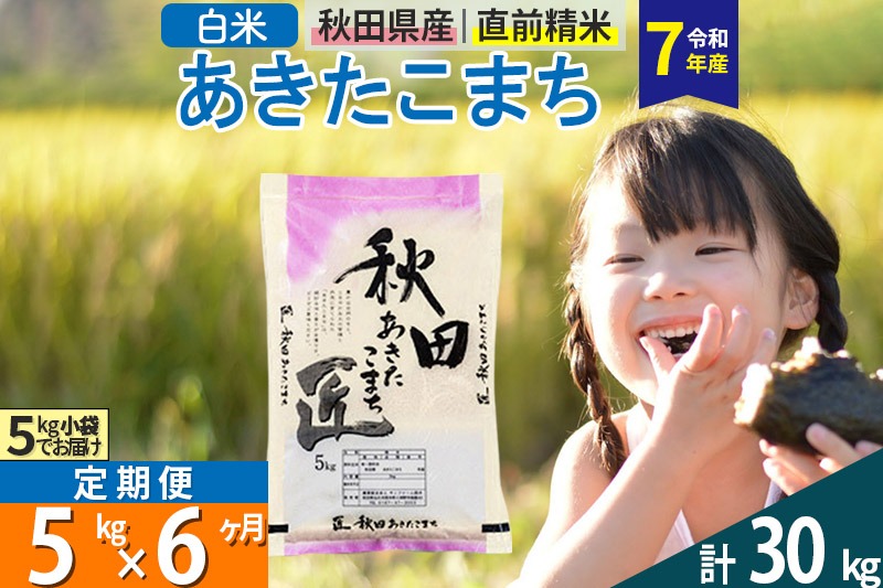 【白米】＜令和7年産＞ 《定期便6ヶ月》秋田県産 あきたこまち 匠 5kg (5kg×1袋)×6回 5キロ お米 |02_snk-010306s