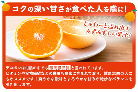 デコポンゼリー 12個入《60日以内に順次出荷(土日祝除く)》熊本県 葦北郡 津奈木町 あしきた農業協同組合 JAあしきた 柑橘 デコポン フルーツ 果物 ゼリー ギフト 包装 送料無料