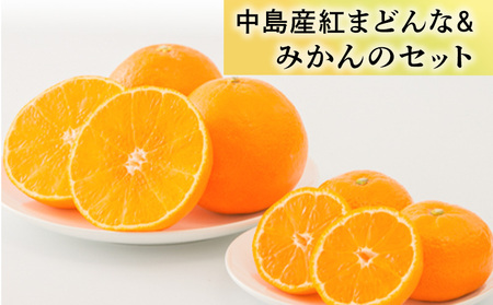 【11月下旬から発送】 「中島産紅まどんな」と「中島みかん」のセット （ 紅まどんな 柑橘 フルーツ まどんな みかん 愛媛 みかん 紅まどんな 蜜柑 紅まどんな ）【FA0332】