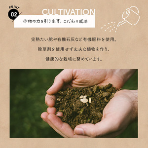 生で食べれる !! アスパラガス 2色 セット（ グリーン ・ パープル  ）約 1.1kg | 新鮮 アスパラ 野菜 アスパラガス ソムリエ 健康 熊本県産 熊本 玉名