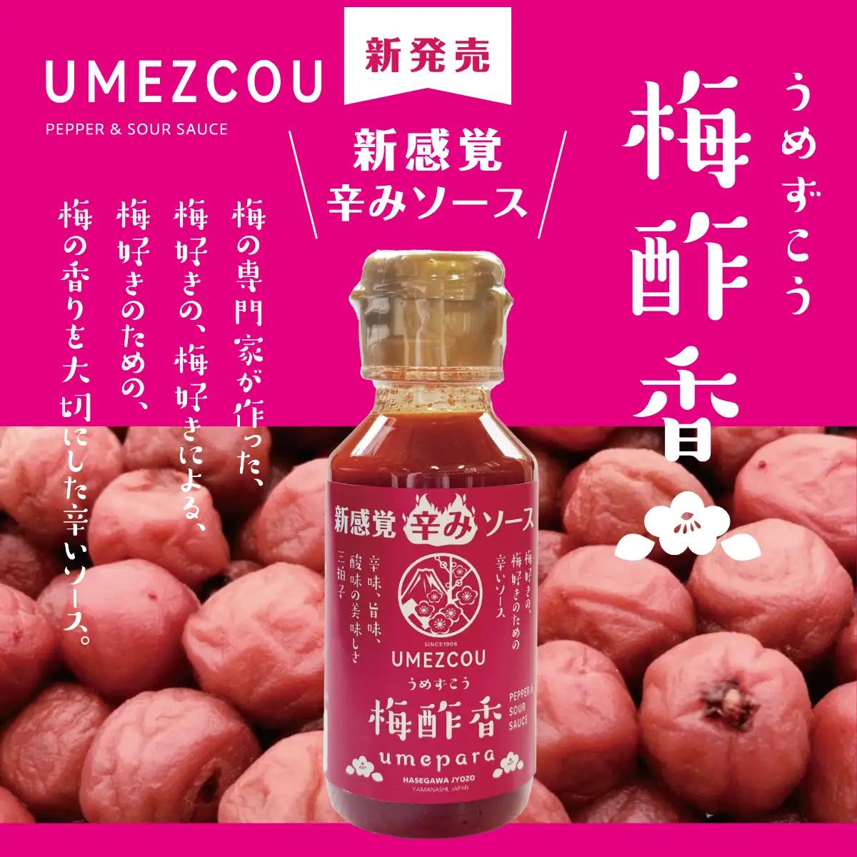 新感覚辛み調味料「梅酢香umezcou」110g×6本セット ALPCG004