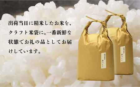 【全12回定期便】福岡の食卓ではおなじみの人気のお米「夢つくし」5kg×2袋 [10kg] [白米]《築上町》【株式会社ビーキューブ】[ABDF123] お米おすすめ お米定番 お米人気 お米お取り寄