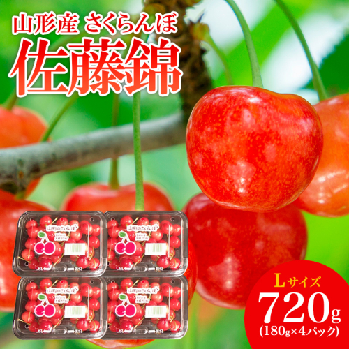 山形産 さくらんぼ 佐藤錦 L 720g(180g×4パック) 【令和8年産先行予約】FS25-504