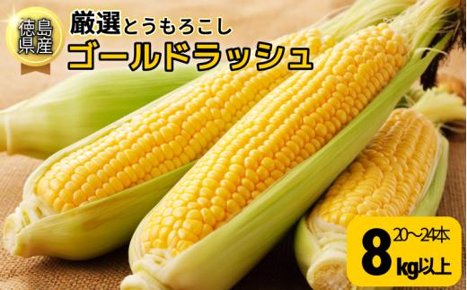 【6月下旬より順次発送】　とうもろこし ゴールドラッシュ 8kg以上 選べる 容量 厳選 新鮮 甘い 生 国産 野菜 スイートコーン バーベキュー BBQ コーン 旬 徳島県