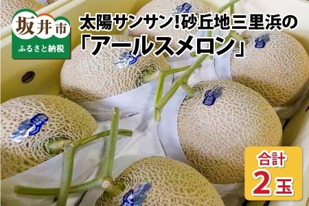 【先行予約】太陽サンサン砂丘地三里浜の アールスメロン 2玉 【2026年9月上旬以降順次発送予定】 [A-8302]