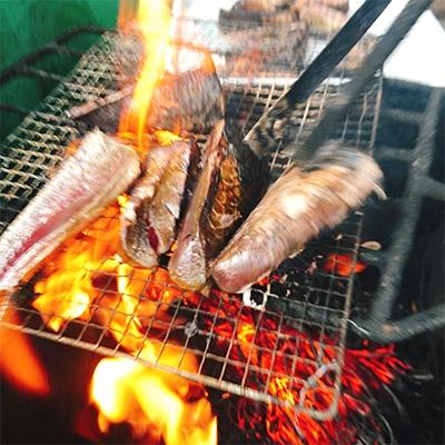 ふるさと納税 南国市 訳あり!わら焼きたたき1.5kg |  | 02