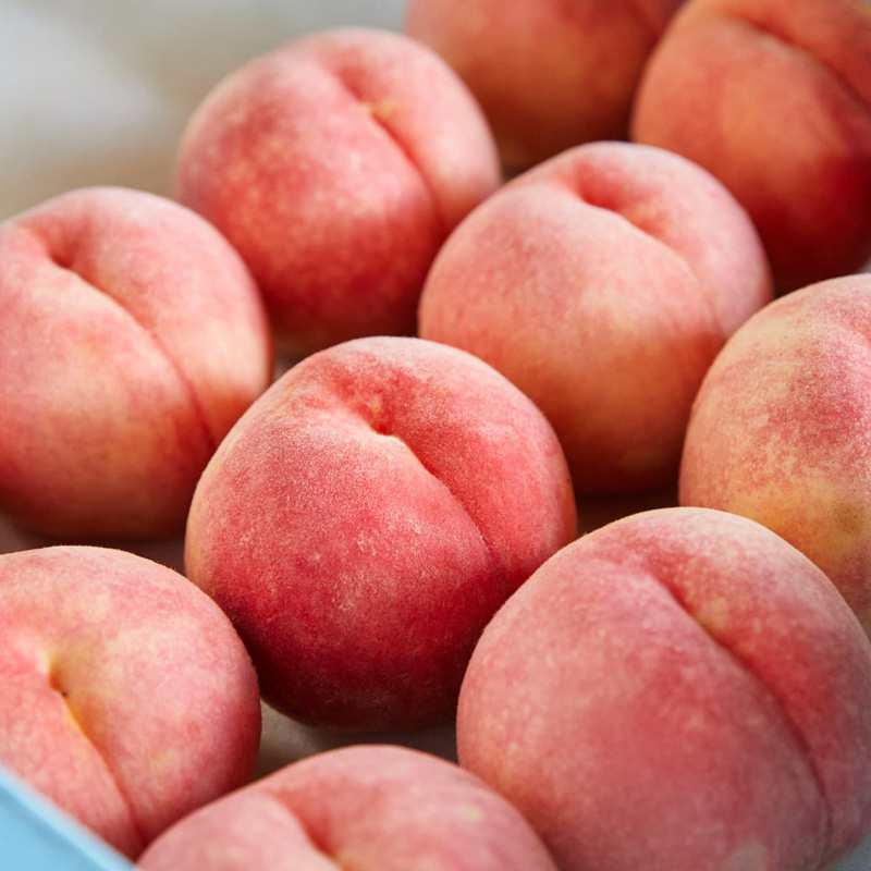 【硬い桃好きの方へ】大人気！かためのパリッと食感！山形産 もも 2kg【令和8年産先行予約】FS25-083