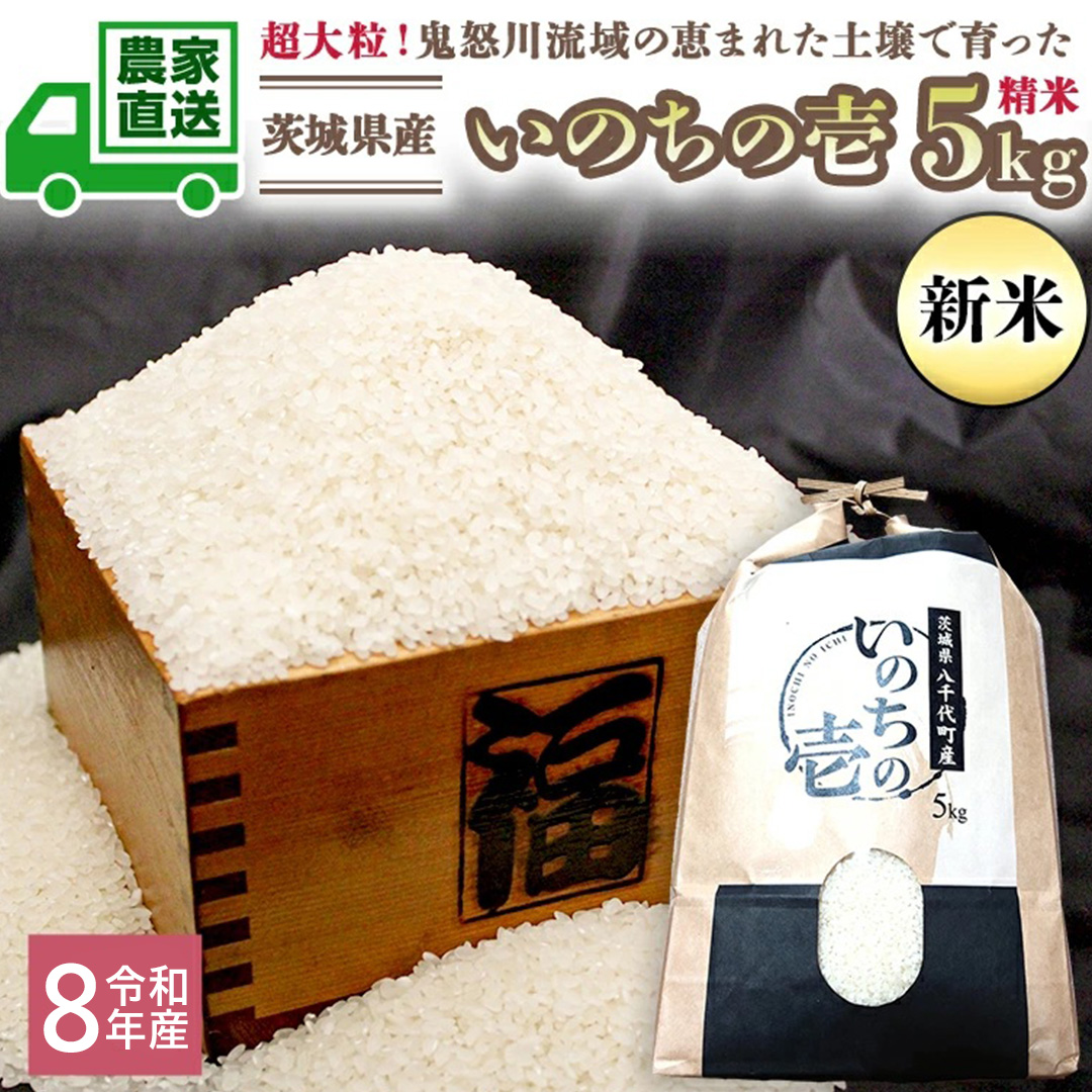 令和8年産 新米 茨城県産 いのちの壱 5kg 精米 米 こめ コメ 茨城県 国産 いばらき 単一米 単一原料米 大粒 農家直送 [BG018ya]