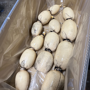 野口れんこん 茨城県産 極上無漂白蓮根4kg | 蓮根  レンコン ハス 根菜 シャキシャキ 甘い 産地直送 産直　※離島への配送不可 やさい 野菜 煮物 