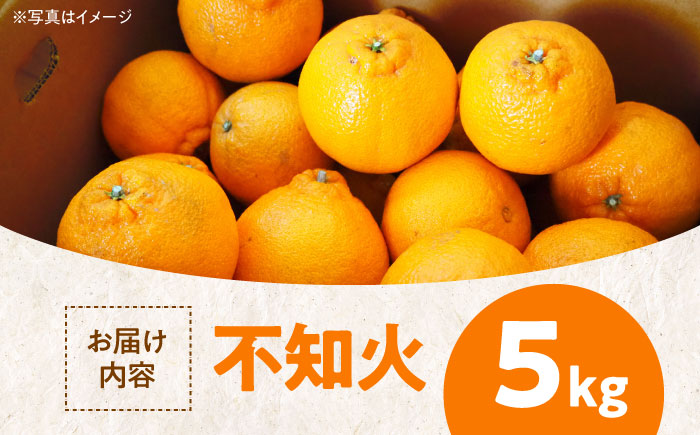 【先行予約】【2026年3月上旬から順次発送】優しい酸味とジューシーで強い甘味！不知火 5kg　愛媛県大洲市/玉川農園 [AGBC003]みかん オレンジ フルーツ ミカン 果物 かき氷 みかんジュー