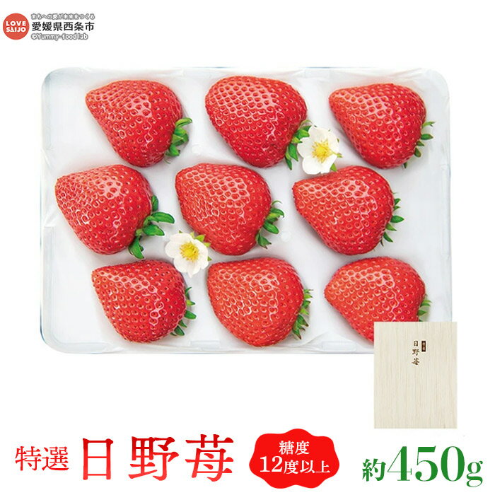 【ふるさと納税】＜特選 日野苺（約450g）＞ ※2025年11月末から12月末迄に順次出荷 イチゴ いちご 大粒 果物 くだもの フルーツ 株式会社ひのいちご園 愛媛県 西条市 【冷蔵】【JP】