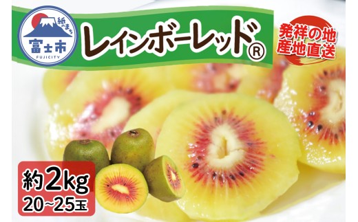 キウイフルーツ レインボーレッド® 2kg 大玉 高糖度 20～25玉 ビタミンC 無農薬 数量限定 期間限定 富士市 [sf001-087]