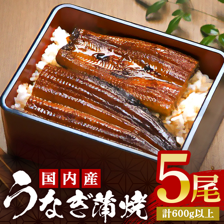 やわらか国内産 うなぎ蒲焼 満足サイズ! 120～140g 5尾 計600g以上 ふっくら蒲焼き ブランド鰻使用 秘伝のタレ・山椒付き 湯煎で簡単調理 うな丼 ちらし寿司 贈答用 ギフト 冷蔵配送 国産 茨城県 潮来市 (A23-015)