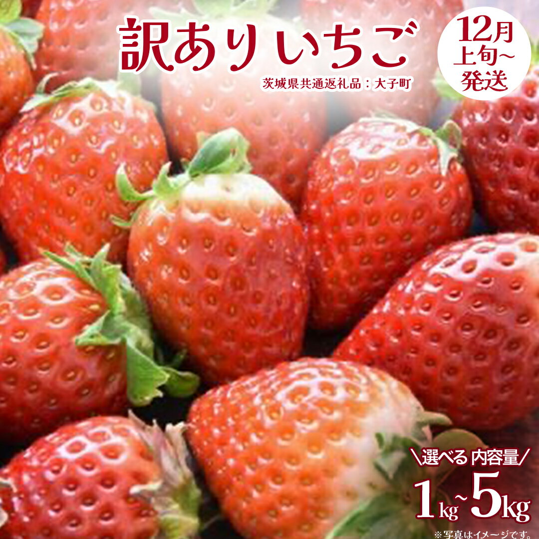 【ふるさと納税】《 選べる 内容量 》訳あり いちご 1kg / 2kg / 4kg / 5kg【2025年12月上旬発送開始】(茨城県共通返礼品：大子町) 苺 果物 フルーツ 果実 ご家庭用
