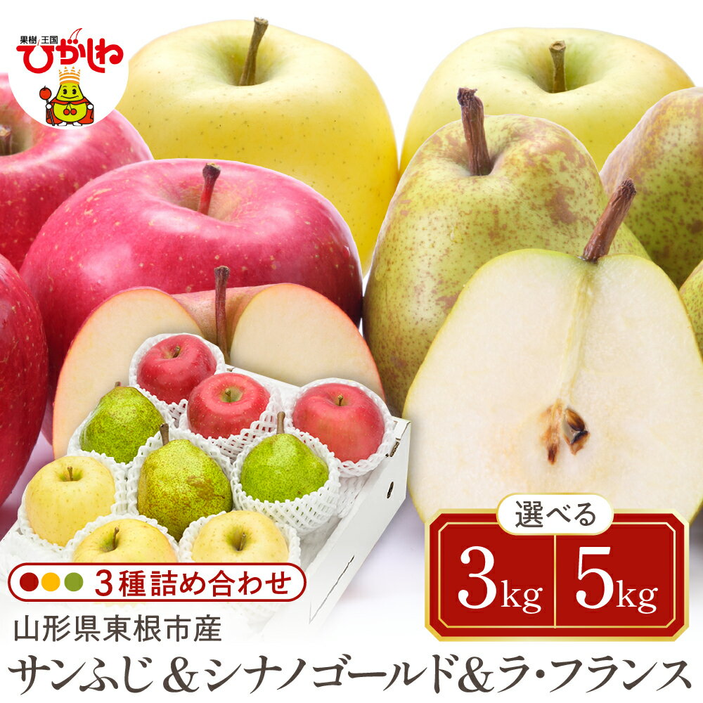 【ふるさと納税】【令和7年産 先行予約】 サンふじ シナノゴールド ラフランス 3種 ( 選べる: 3kg / 5kg )/ りんご 林檎 リンゴ 西洋梨 洋ナシ 洋なし フルーツ 果物 くだもの セット 限定 お取り寄せ 送料無料 山形 産地直送 山形県 東根市