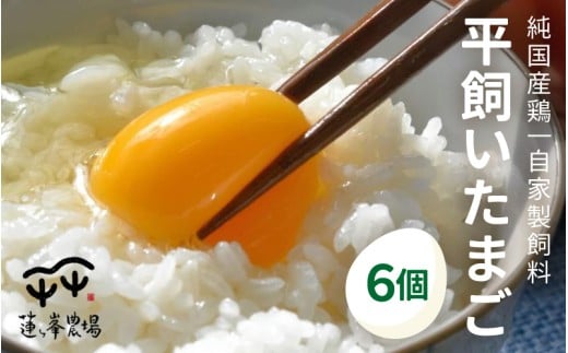 【蓮ヶ峯農場】京都奥丹波 純国産鶏もみじの平飼いたまご 6個 【 お試し 国産 平飼い卵 非遺伝子組み換え  卵定期便 たまご定期便 自家配合 たまご タマゴ  平飼い 卵 純国産鶏 もみじの平飼い卵 京都奥丹波 綾部 京都 】