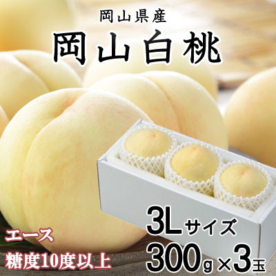 
            ＜先行受付＞岡山白桃 エース 3玉×300g(3Lサイズ) 岡山県産【1305730】
          