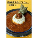 【ふるさと納税】徳島県産天然さざえカレー　2個セット | 食品 加工食品 人気 おすすめ 送料無料