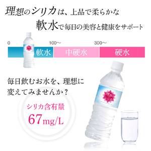 理想のシリカ 500ml × 48本 (1ケース24本入 × 2ケース)