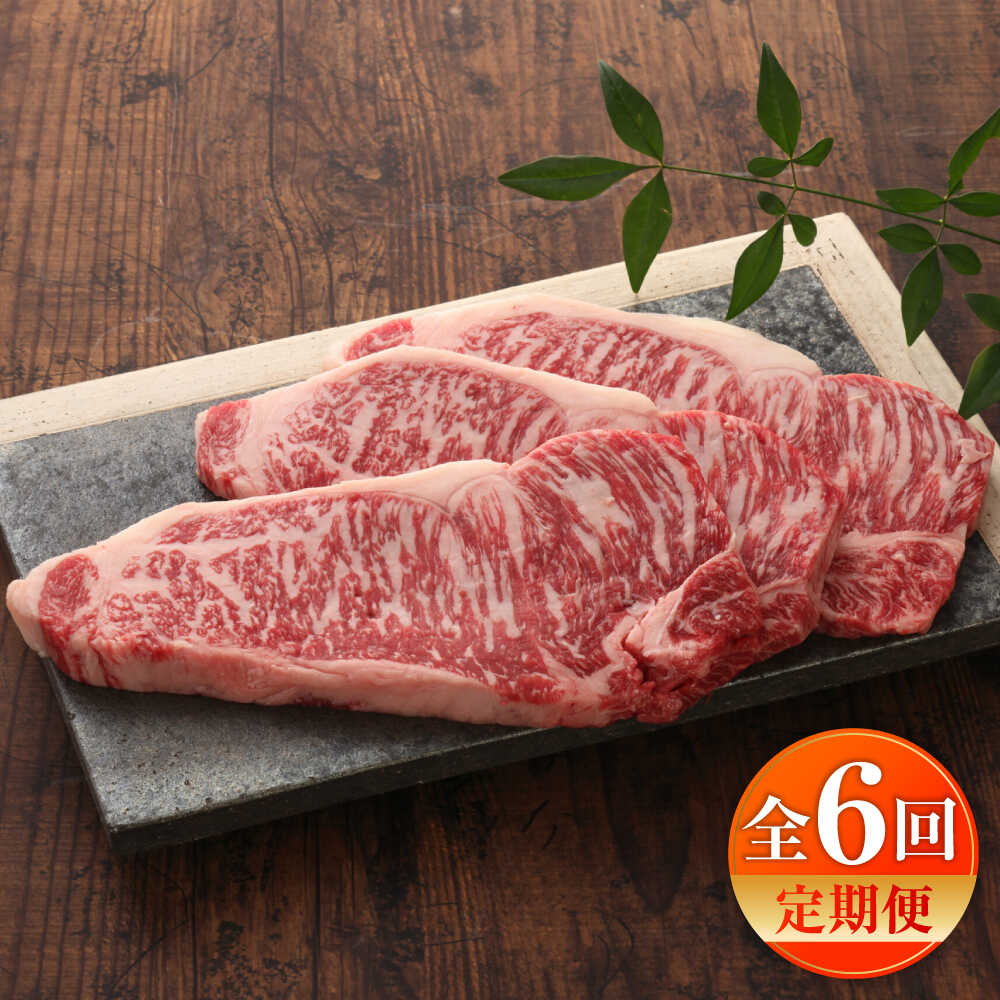 【ふるさと納税】【全6回定期便】【GI認証】くまもとあか牛サーロインステーキ 約200g×3枚 / 菊陽町 あかうし 熊本県 肉 にく niku ブランド 旨み くまもとあか牛 和牛 自社牧場 直接 最高 牛 牛肉 ぎゅうにく ぎゅう肉 冷凍 国産【有限会社 三協畜産】[BHAS067]