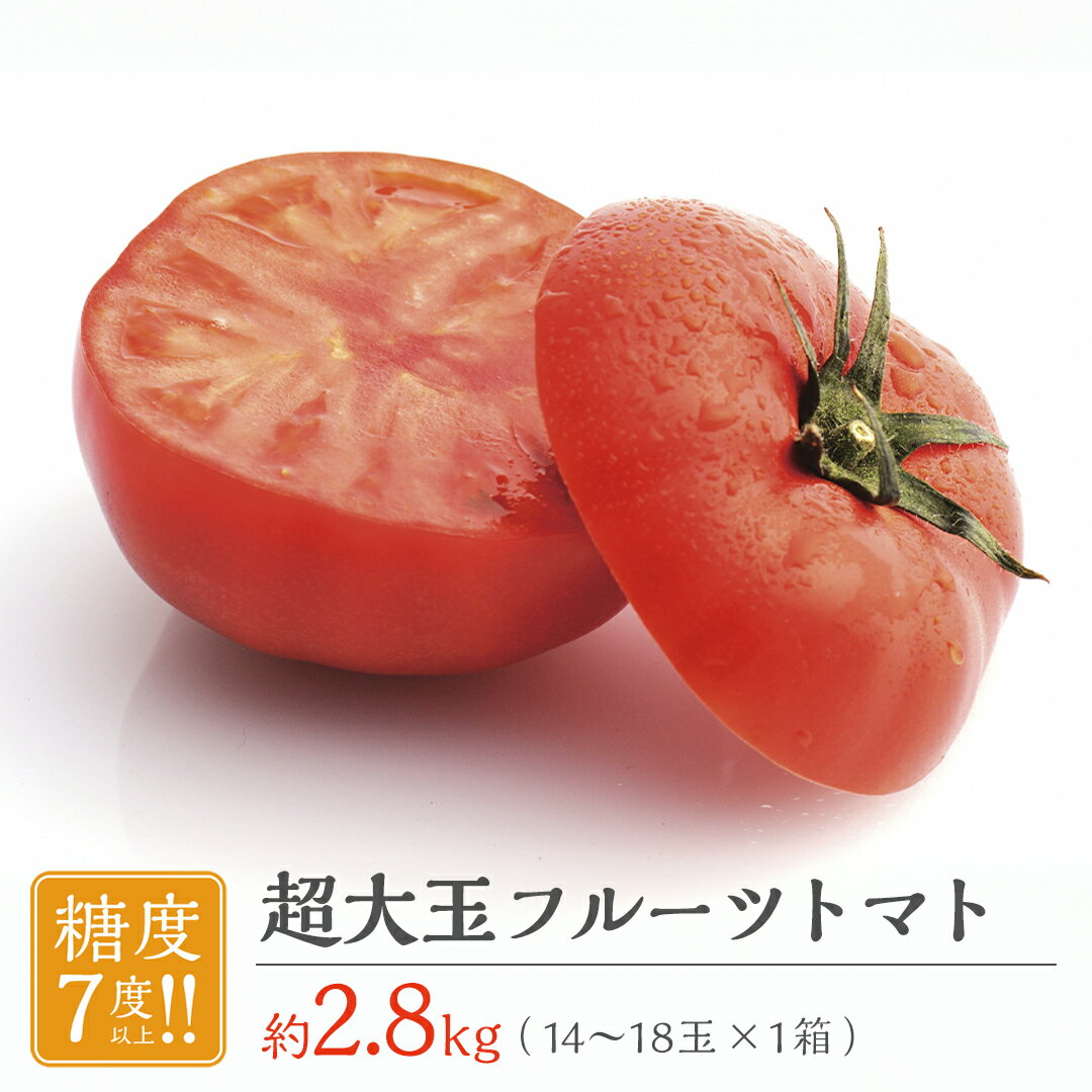 【ふるさと納税】 超大玉 フルーツトマト 大箱 約2.8kg × 1箱 【14～18玉/1箱】 2026年産 糖度7度 以上 野菜 フルーツ トマト とまと