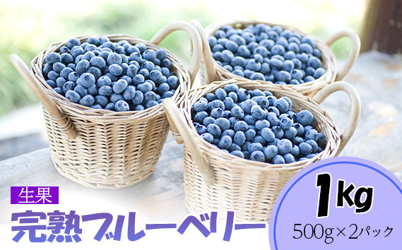 
完熟ブルーベリー1kg（生果）＜期間限定＞【ブルーベリー王国美里町からお届け！】[No.177]
