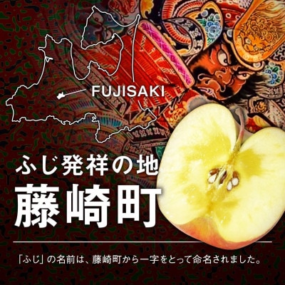 〈令和6年産先行予約〉産地直送　葉とらずサンふじ　訳あり　約4kg【配送不可地域：離島・沖縄県】