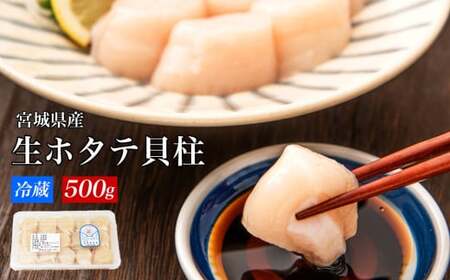 宮城県産 生食用 生ホタテ貝柱（500g/約15個〜18個入り）冷蔵 帆立 ほたて 貝 魚介 海鮮 刺身 生食 生ほたて 生帆立 宮城県 石巻市 宮城 石巻