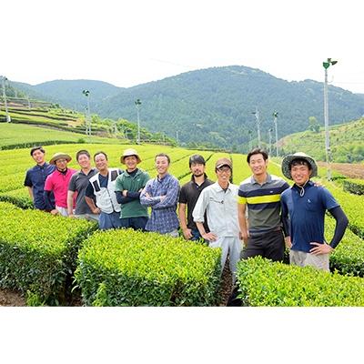 ふるさと納税 嬉野市 うれしの紅茶 生産者別 8袋セット |  | 01