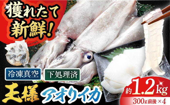 【イカの王様】アオリイカ 300g前後×4杯 肉厚 甘い 冷凍 刺身 五島市/金沢鮮魚 [PEP005] 