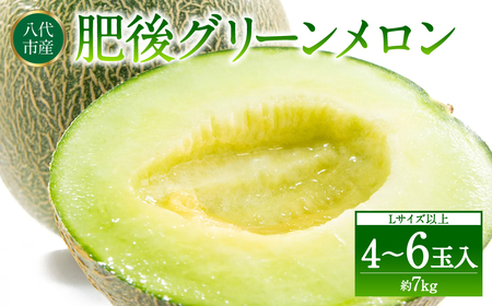 【先行予約】 熊本県八代市産 肥後グリーンメロン L以上  4～6玉 約7kg 果物 くだもの フルーツ 肥後グリーン メロン 青肉メロン 【2026年5月上旬より順次発送】