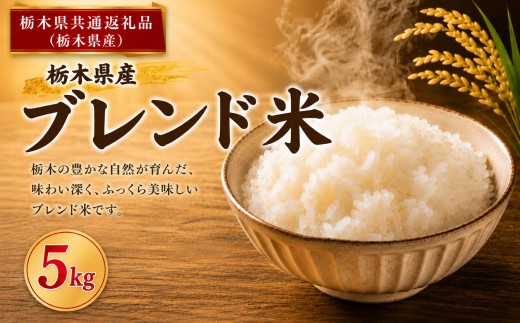 ブレンド米 5kg 送料無料|ごはん 栃木県産 栃木県 真岡市 ふるさと納税 【栃木県共通返礼品 栃木県産】