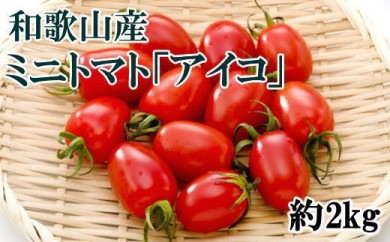 【2025年2月出荷分】和歌山産ミニトマト「アイコトマト」約2kg（S・Mサイズおまかせ）※北海道、沖縄、離島への配送不可 ※2025年2月上旬～2月下旬頃に順次発送予定