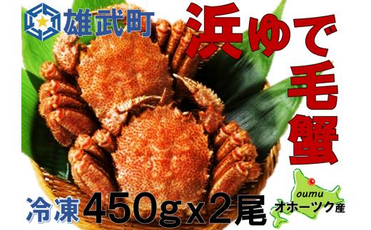 北海道雄武町産　毛がに（冷凍）(450g×2)