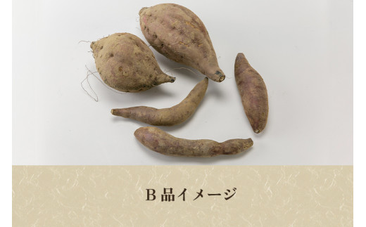 【2026年】【家庭用】安納芋 1kg（A品・B品混在） 新潟県加茂市七谷産 さつまいも《11月上旬～順次発送》 サツマイモ お芋 焼き芋 スイートポテト 野菜 根菜 低温熟成 加茂市 YAGOROU ヤゴロウ