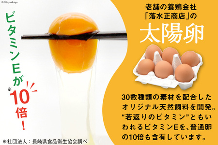 旬の野菜・フルーツセット 【太陽卵6個付き】 13品目から15品目の豪華セット [item0098 長崎県 雲仙市] 野菜 フルーツ くだもの 卵 たまご