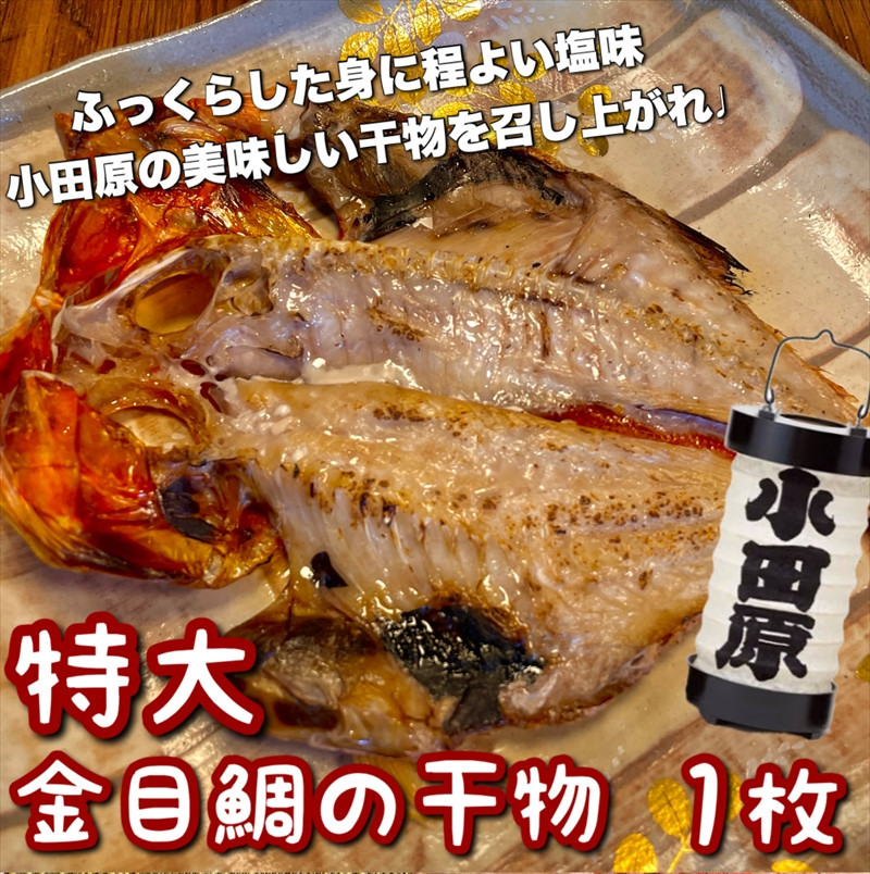 超特大金目鯛の干物 1枚 142069_DQ146