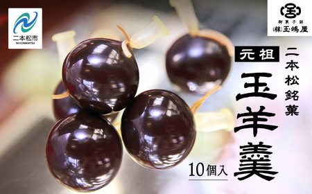 羊羹 玉嶋屋の玉羊羹 10個入り ようかん【株式会社玉嶋屋】